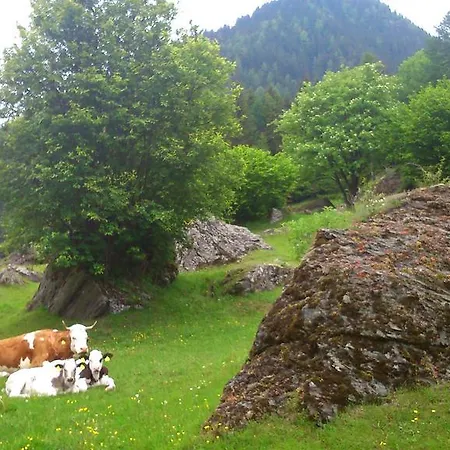 Pensjonat Siegelbrunn Mallnitz