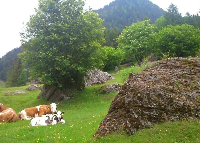 בית הארחה Siegelbrunn מאלניץ